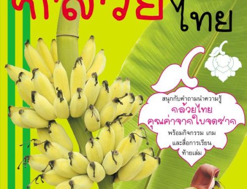 ภูมิใจไทย” อาเซียน-กล้วยไทย